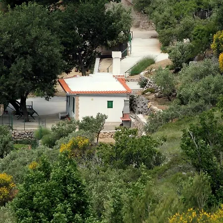 Davorka * Podgora (Split-Dalmatia)