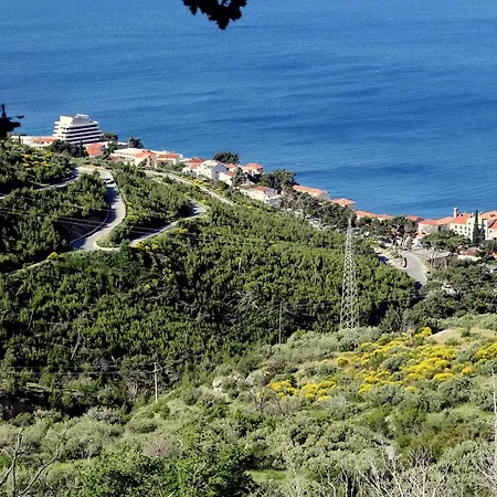 Davorka Semesterbostad Podgora (Split-Dalmatia)