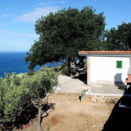 Davorka Semesterbostad Podgora (Split-Dalmatia)