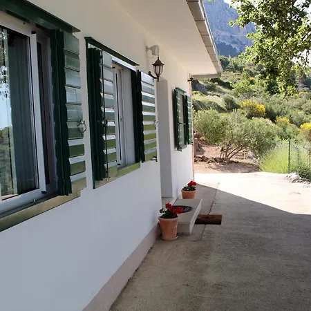 Davorka Podgora (Split-Dalmatia)