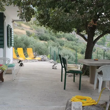 Davorka Podgora (Split-Dalmatia)