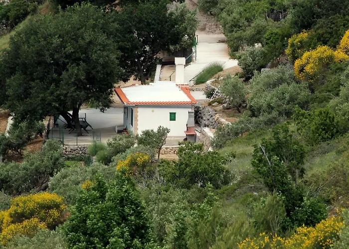 Davorka * Podgora (Split-Dalmatia)