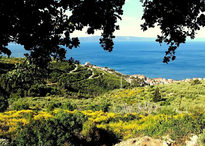 Casa vacanze Davorka *