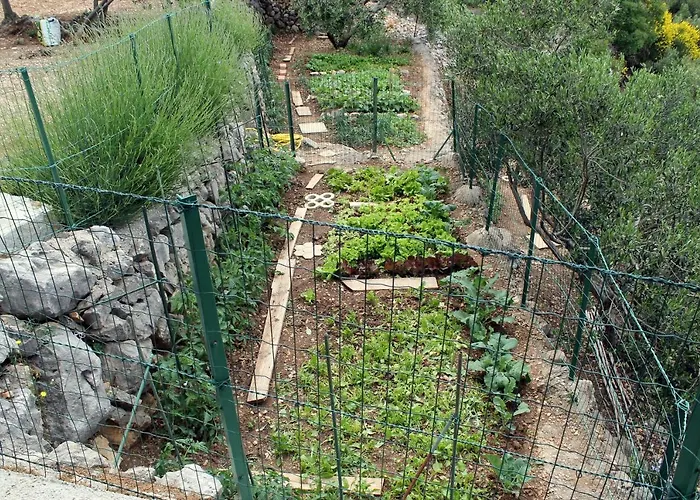 Casa vacanze Davorka *